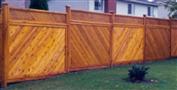 Fence1